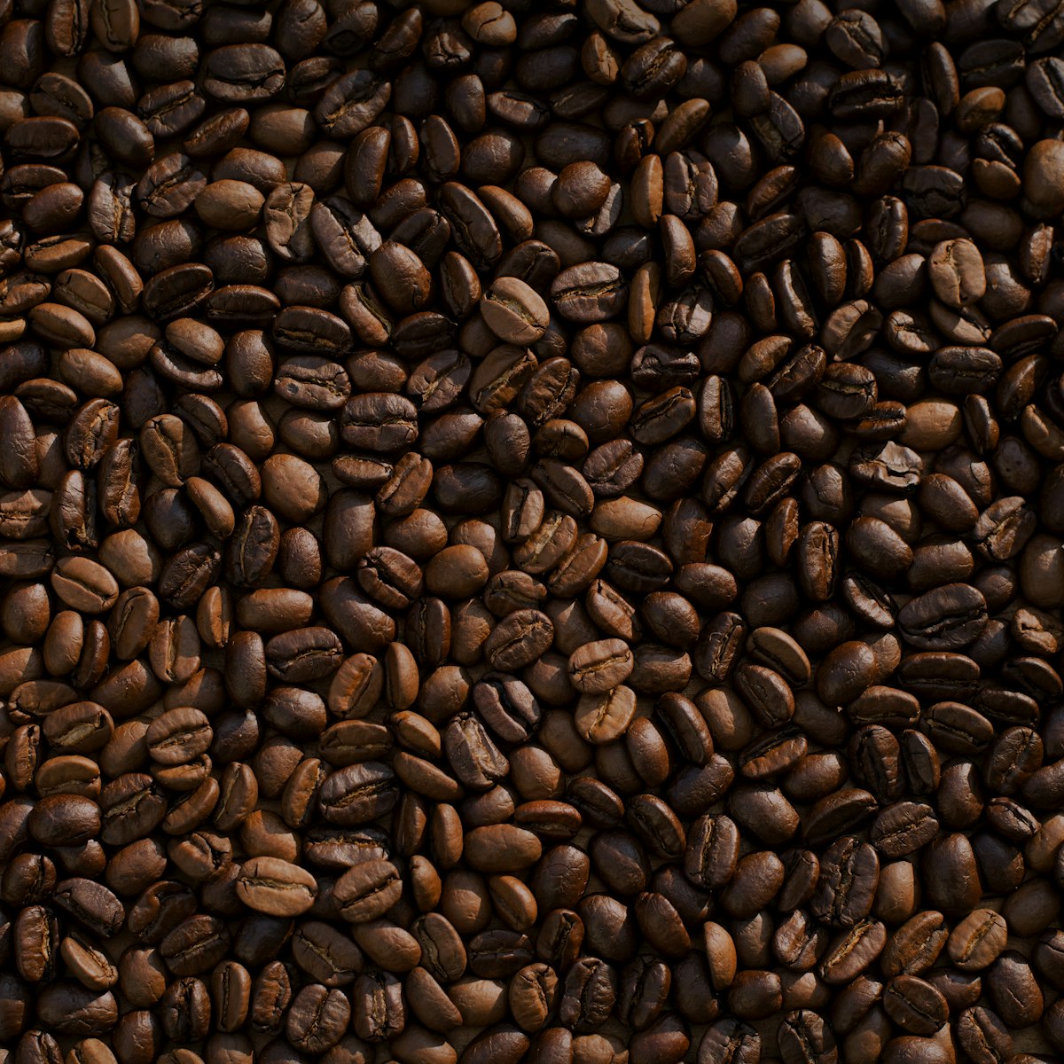 Roasted Coffee Beans