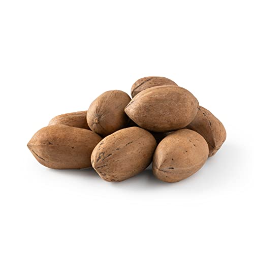NUTS U.S. - Pecans In shell | Whole, Raw and Unsalted | No Added Flavor or Color | Fresh Buttery Taste and Easy to Crack