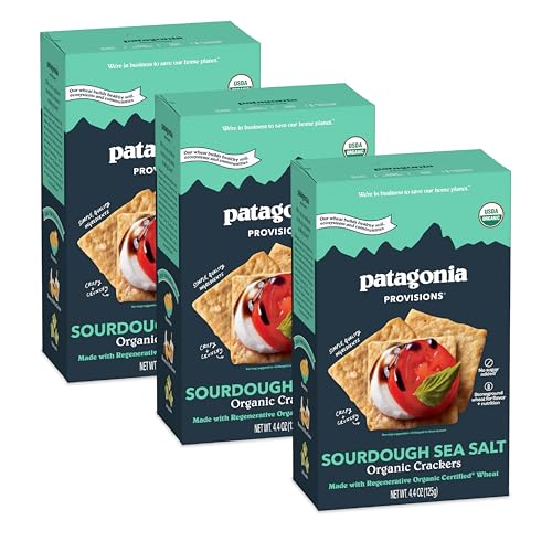 Patagonia Provisions Organic Sourdough Sea Salt Crackers (3 Pack) – 3g Plant Protein Per Serving – Made with Wheat Flour